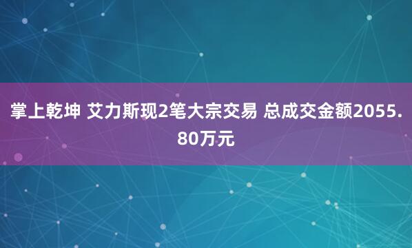 掌上乾坤 艾力斯现2笔大宗交易 总成交金额2055.80万元